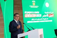 أخنوش: الحكومة تولي أهمية خاصة لعدد من سلاسل الإنتاج لأهميتها في تحقيق السيادة الغذائية
